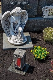 Image 786178309