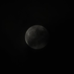 Image 786968376