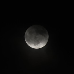 Image 786968381