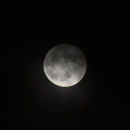 Image 786968385
