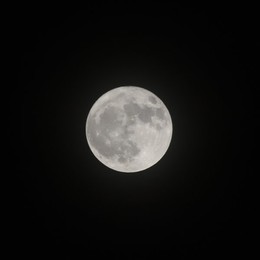 Image 786968388