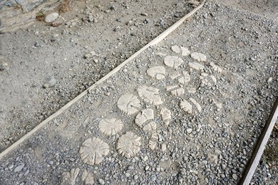 Milodon. cave. natural. monument. landscape. horizontal. puerto Natales. cile. patagonia. south America. natural Beauty. natural Park. nature. argentina. outdoor. outdoors. outside