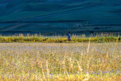 Sibillini. mountains. national. park. summer. flowering. landscape. people. horizontal. castelluccio Di Norcia. umbria. italy. nature.