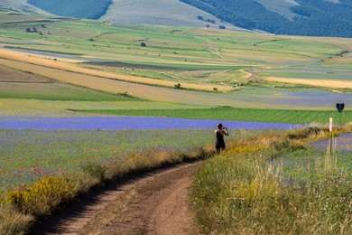 Sibillini. mountains. national. park. summer. flowering. landscape. people. horizontal. castelluccio Di Norcia. umbria. italy. nature.