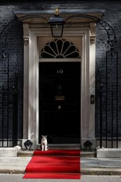Image 788279010