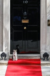 Image 788322765