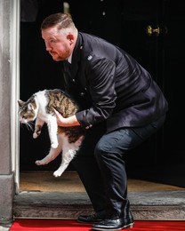 Image 788322790
