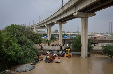 Image 788655951