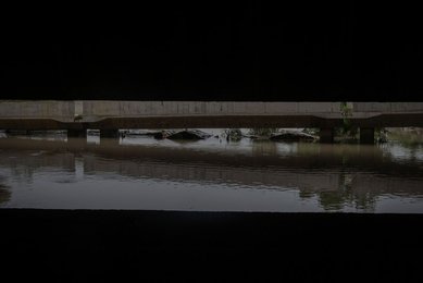 Image 789286274
