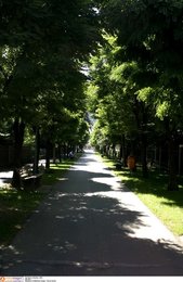 Image 790306028