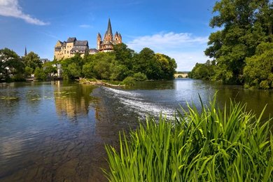 Image 791565288