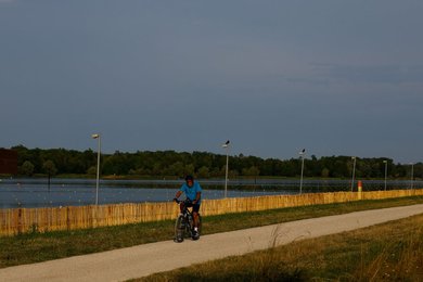 Image 791631612
