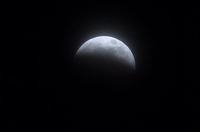 Image 791885829
