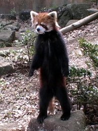 Image 792870376