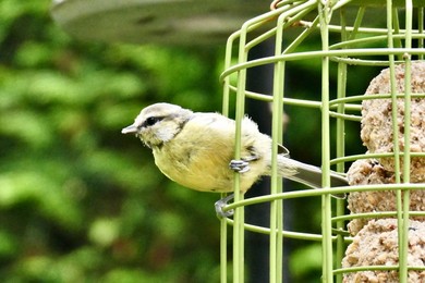 Image 792891579