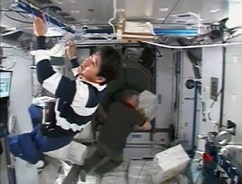 Image 794517263