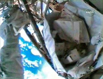 Image 794796019