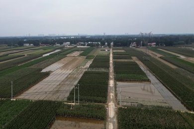 Image 794946339