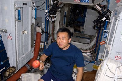 Image 795028168