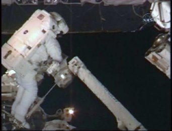 Image 795031984