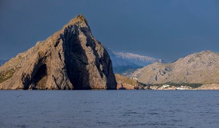 Image 795156794