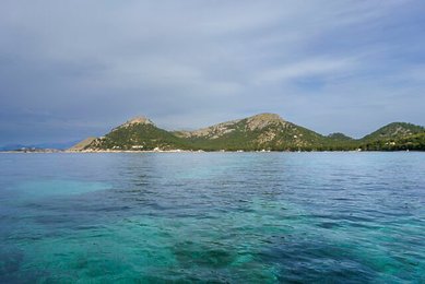Image 795163665