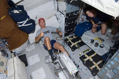 Image 795319981