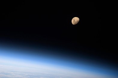 Image 795323548