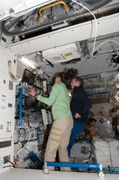 Image 795331575