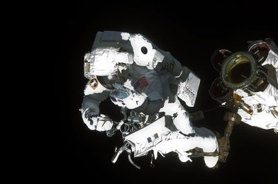 Image 795482911
