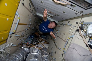 Image 795691991