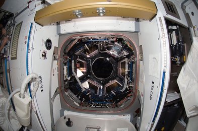 Image 795711055