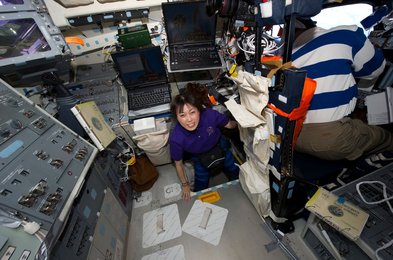 Image 795778907