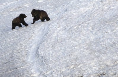 Image 797118216