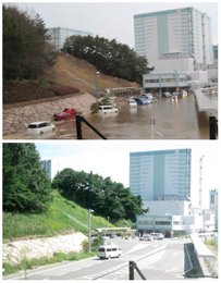 Image 797686621