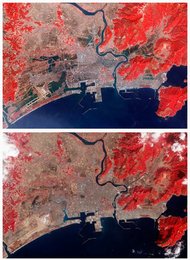 Image 799737150