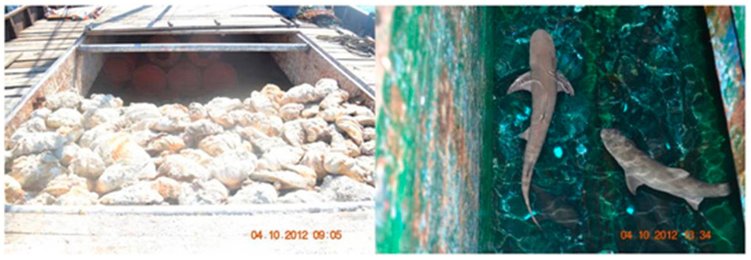Image 799972171