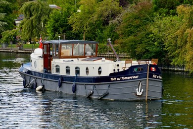 Image 802003466