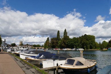 Image 802006173