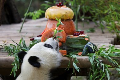Image 803473311