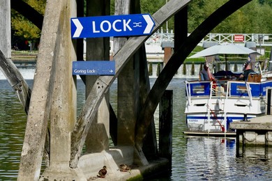 Image 803528461