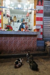 Image 808319871