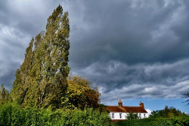 Image 810844396