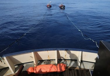 Image 811925886