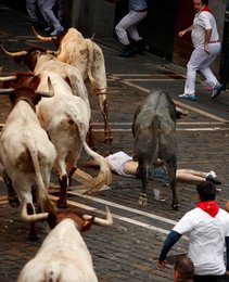 Image 812226860