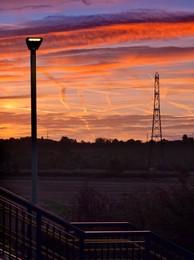 Electricity pylons and street light  in Lower Radley at dawn