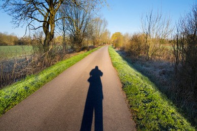 Electricity pylons in Redbridge, South Oxford at sunset