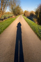 Electricity pylons in Redbridge, South Oxford at sunset