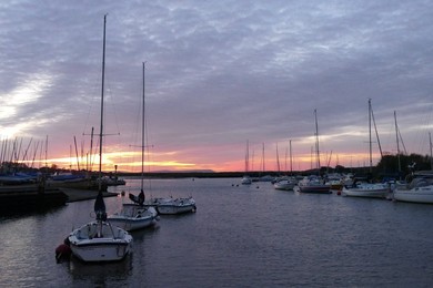 Image 814459035