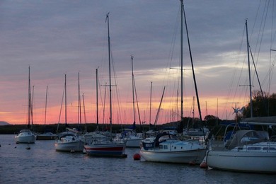 Image 814459051